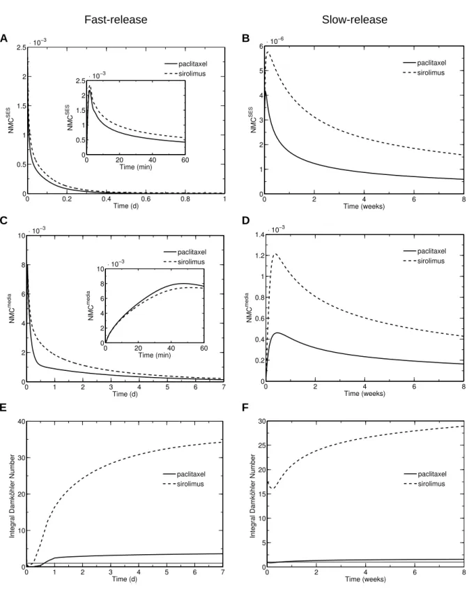 Figure 2.10: Paclitaxel vs. sirolimus. Temporal evolution of the NMC in the SES for a A: fast-release and B: slow-release stent