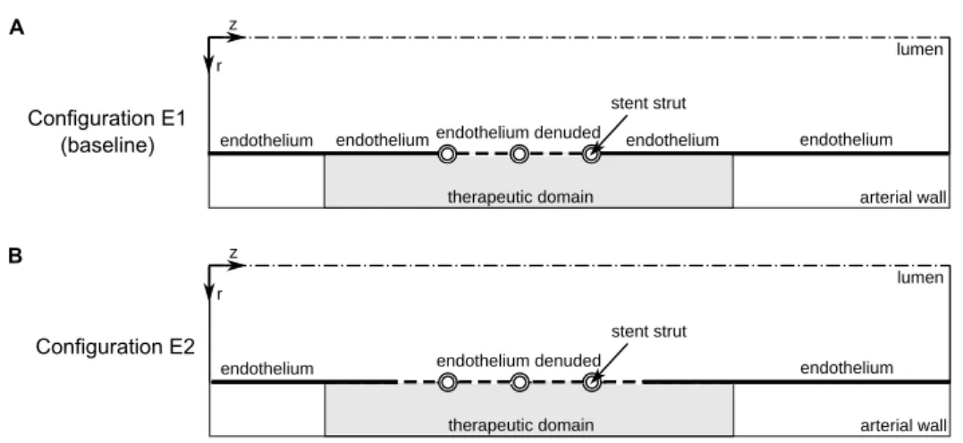 Figure 3.1: Two configurations of the computational model used in the simulations. A: Configuration E1 considers an endothelium that is completely denuded within the stented portion of the vessel but intact otherwise