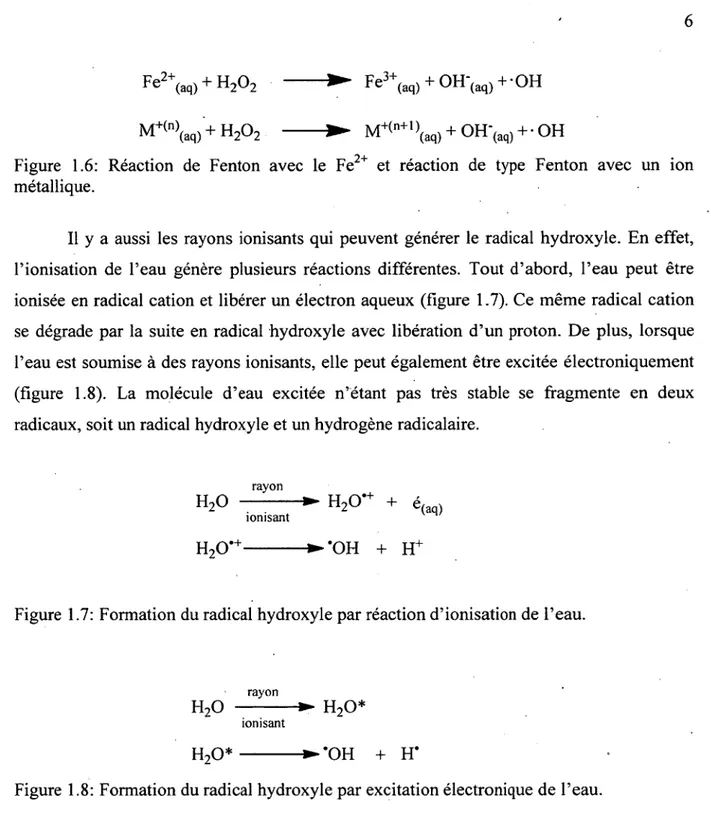Figure  1.6:  Réaction  de  Fenton  avec  le  Fe  et  réaction  de  type  Fenton  avec  un  ion  métallique.