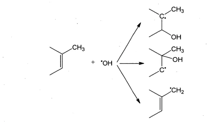 Figure  1.12:  Réaction  du  radical  hydroxyle  avec  la  thymine  par  addition  sur  une  double  liaison ou par arrachement d’un atome d'hydrogène.