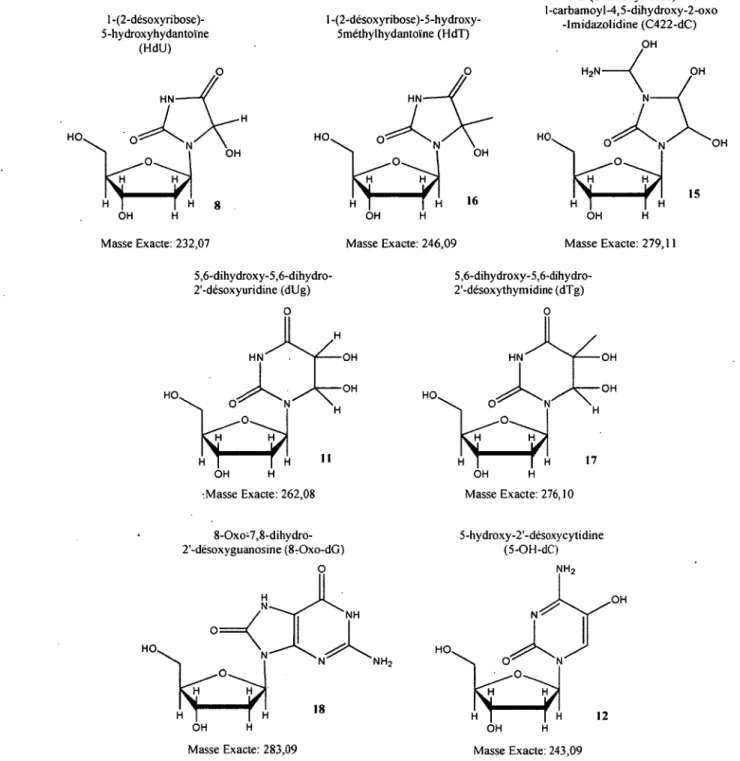 Figure 2.1 :  Structures et masses exactes des différents nucléosides modifiés analysés.