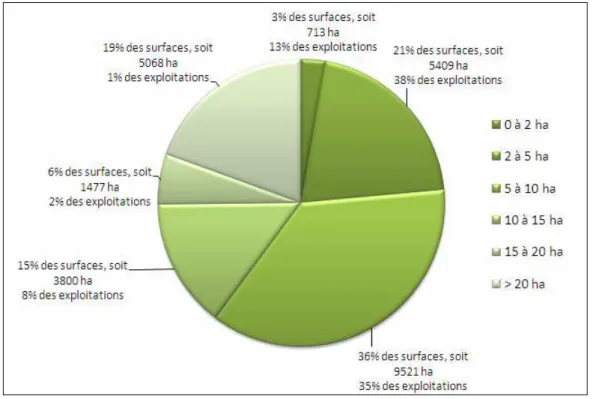 Figure  3.  Classification  des  exploitations  cannières  selon  leur  surface  en  canne  (Source :  DAF  Réunion,  Février 2006)