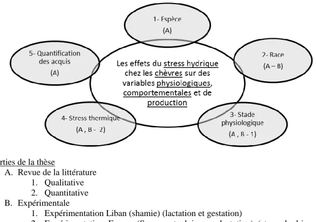Figure 1. Illustration des objectifs en relation avec les différentes parties de la thèse 