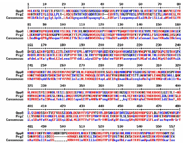 Tableau 5: Les  principaux déterminants de la conjugaison des plasmides pC10 et pAD1 de E