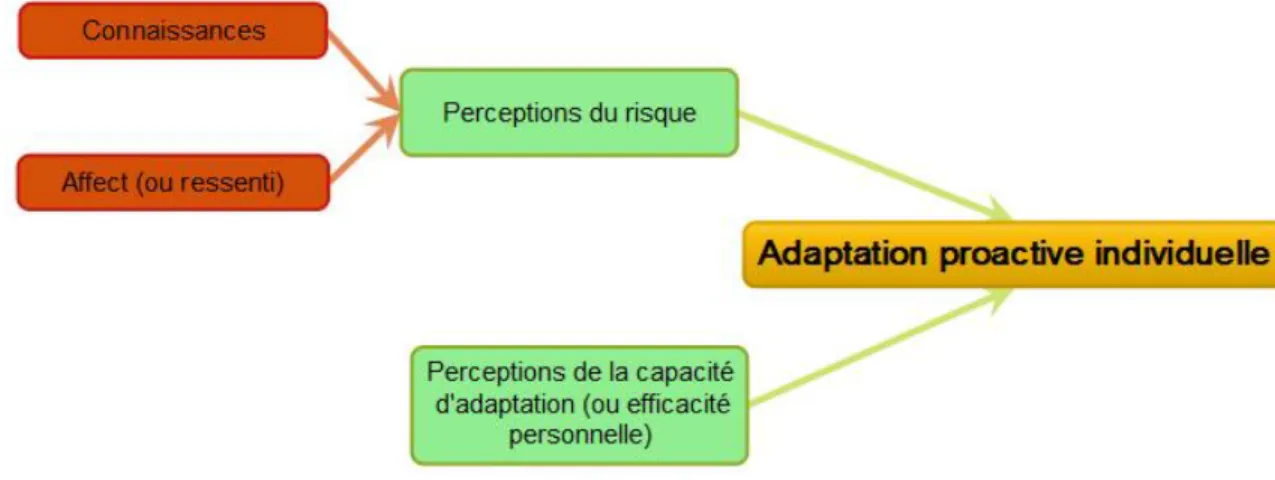 Figure 2.2 Déterminants de l’adaptation proactive individuelle (simplifié de : Grothmann et Patt, 2005;  Arbuckle et autres, 2013b) 