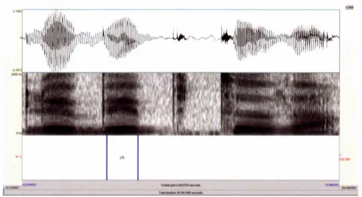 Figure 2.1  Exemple  de  segmentation  dans Praat de  la  voyelle /v/  dans  la  séquence 