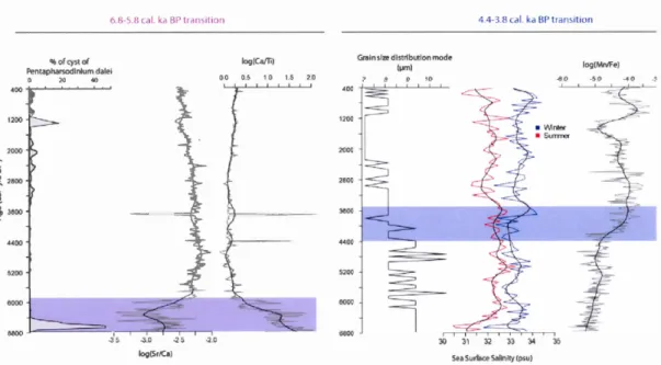 Figure  1.  11  Results  of the  main  proxies  characterizing  the  two  majors  transitions  identified in the record 