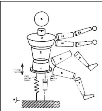 Figure 37 : Transmissibilité verticale siège tête du modèle comparée aux résultats expérimentaux de Coerman [COE62] obtenus pour différentes postures