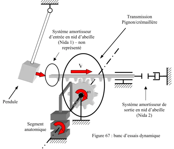 Figure 67 : banc d’essais dynamiqueSegmentanatomiqueTransmissionPignon/crémaillèrePenduleVω Système amortisseur desortie en nid d’abeille