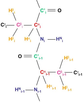 Figure 27 :  Représentation schématique des atomes de deux acides aminés  successifs dans une chaîne peptidique  