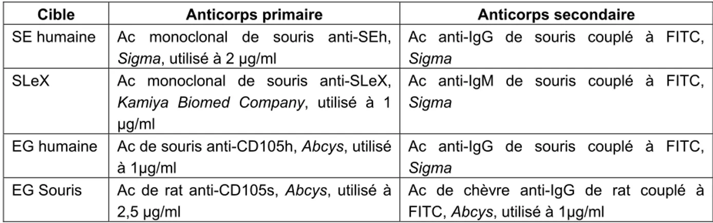 Tableau 7 : Les différents anticorps utilisés. 
