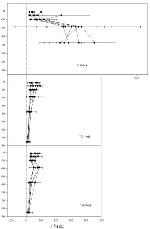 Fig. 4.6  δ 15 N aux trois âges dans le sol sous les arbres abattus (6 par âge), en