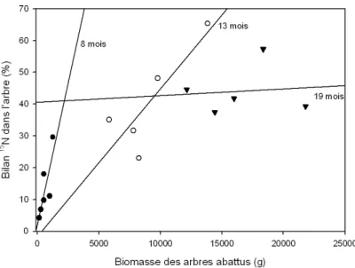 Fig. 4.10  Régressions linéaires entre biomasse des arbres et proportion du 15 N retrouvé aux