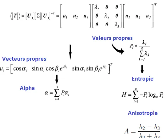 Figure 2.6: Décomposition de Cloude-Pottier basée sur une décomposition en valeurs  propres et en vecteurs propres de la matrice de cohérence (T) 