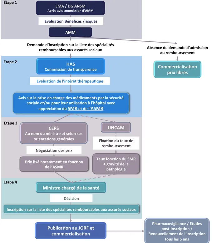 Figure 2 : Circuit réglementaire du médicament à usage ambulatoire 