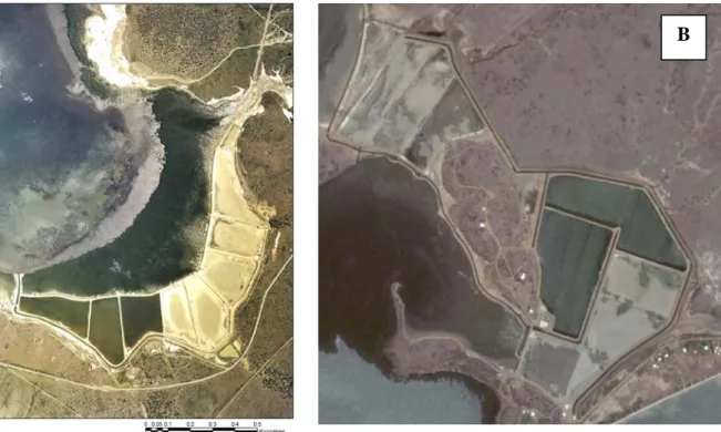 Figure 1.5 : A. Vue aérienne de la Ferme Aquacole Péneide de Ouano, 2005 (Source : zoneco)