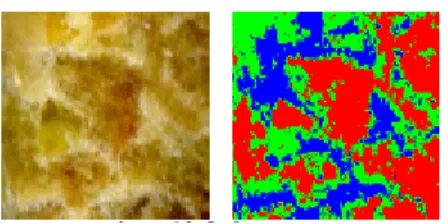 Figure 3 : Segmentation d’une image d’un aliment granulé en trois classes   (Hachemi et al., 2009) 