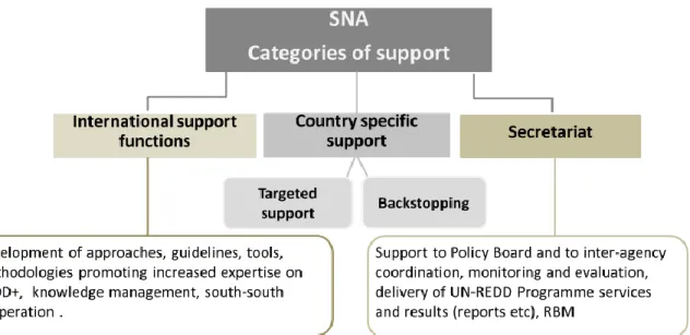 Figure 3.2  Figure représentant les différents types de support du Programme ONU-REDD