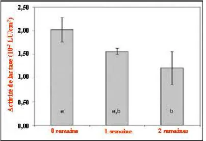 Figure  I.7.  Activité  de  la  lactase  immobilisée  pendant  le  stockage  à  pH  6,8  dans  la  solution  de 