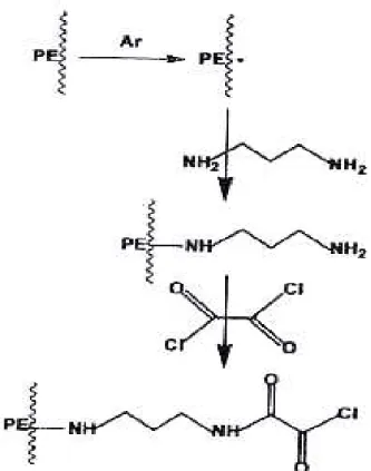 Figure I.9. Schéma de la méthode présentée pour l’immobilisation Horseradish peroxydase sur un 
