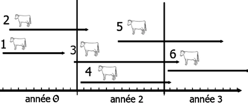 Figure 2.4. Représentation de la définition de l’effet troupeau – année (– saison) utilisé dans le  modèle « lactation » 