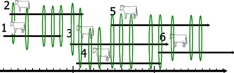 Figure 2.5. Représentation de la définition de l’effet troupeau – jour de contrôle (HTD) utilisé dans le  modèle « contrôles élémentaires » (TDM) 