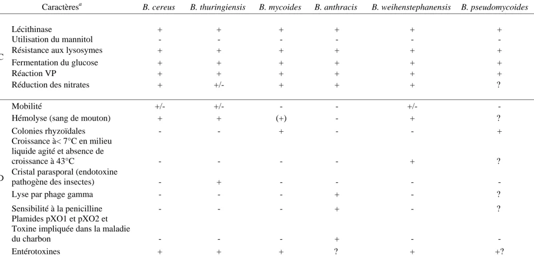 Tableau I – Principaux caractères communs et distinctifs des espèces du groupe B. cereus sensu lato 