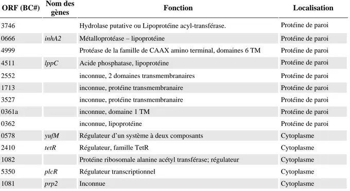 Tableau II - Liste des gènes régulés par PlcR. D’après Gohar et coll., 2008 