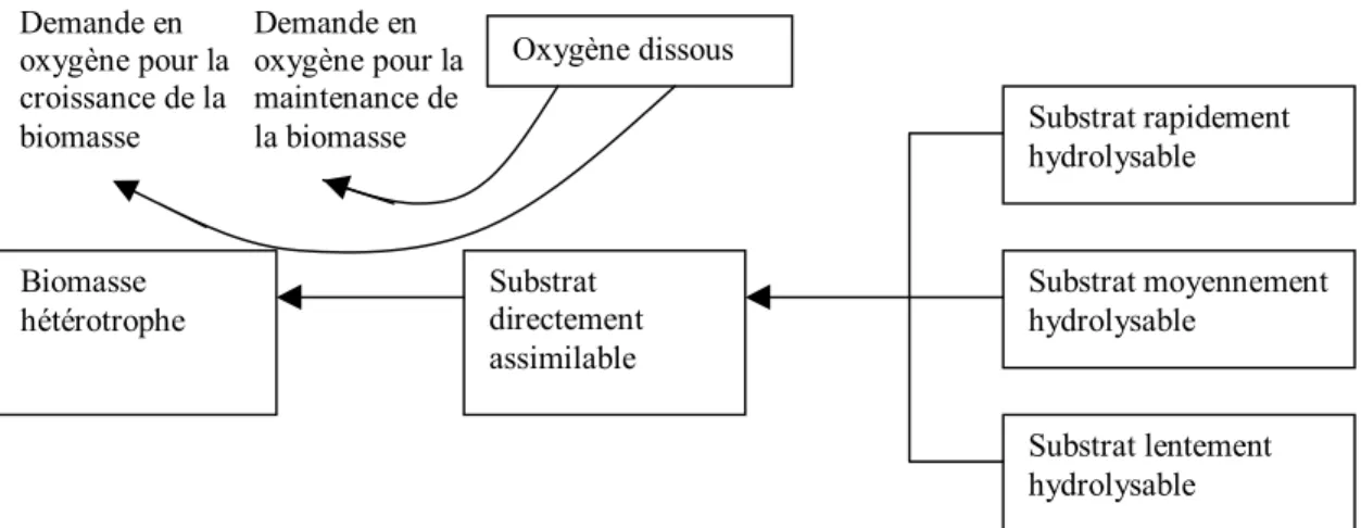 Figure 2- 1 Concept décrivant la biodégradation de la matière organique en réseau d’assainissement  (Vollertsen, 1998) 
