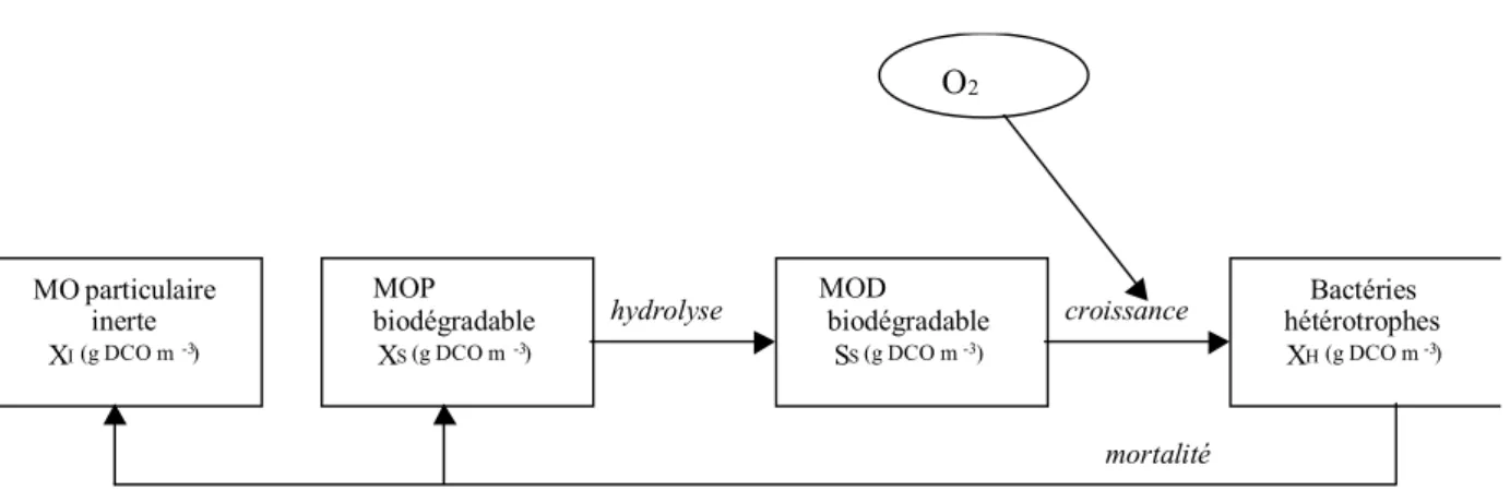 Figure 2- 2 Concept décrivant la biodégradation de la matière organique dissoute (MOD) et particulaire  (MOP) dans ASM 1 (d’après Henze et al., 1987) 