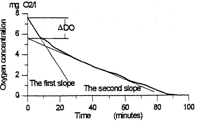 Figure 3- 5 : Suivi de la concentration en oxygène avec la « single-OUR method » (d’après Xu et  Hasselblad, 1996)