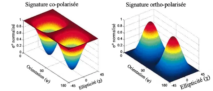 Figure 3.10 : Signatures polarimétriques co-polarisée et ortlio-polarisée d’un réflecteur dièdre orienté horizontalement