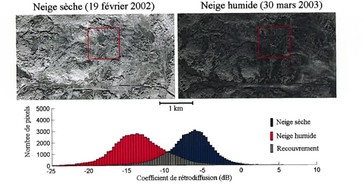 Figure 5.1 : Images radar en bande C polarisation 11H et histogrammes des images pour