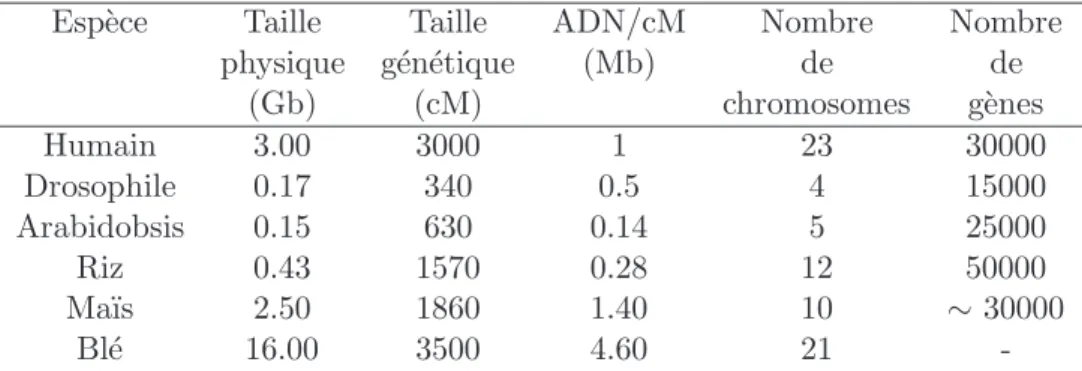 Tab. 2.1 – Taille des g´enomes de 6 esp`eces et relation entre longueur physique et g´en´etique.