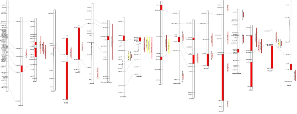 Fig. 3.4 – Overview of chromosome 8 for the 18 mapping experiments involved in the meta-analysis of flowering time in maize