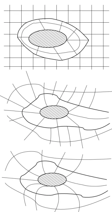 Fig. 2.7 { Plusieurs implantations de la methode multi-blocs. Les frontieres sont en trait epais (d'apres [FREY-99]).