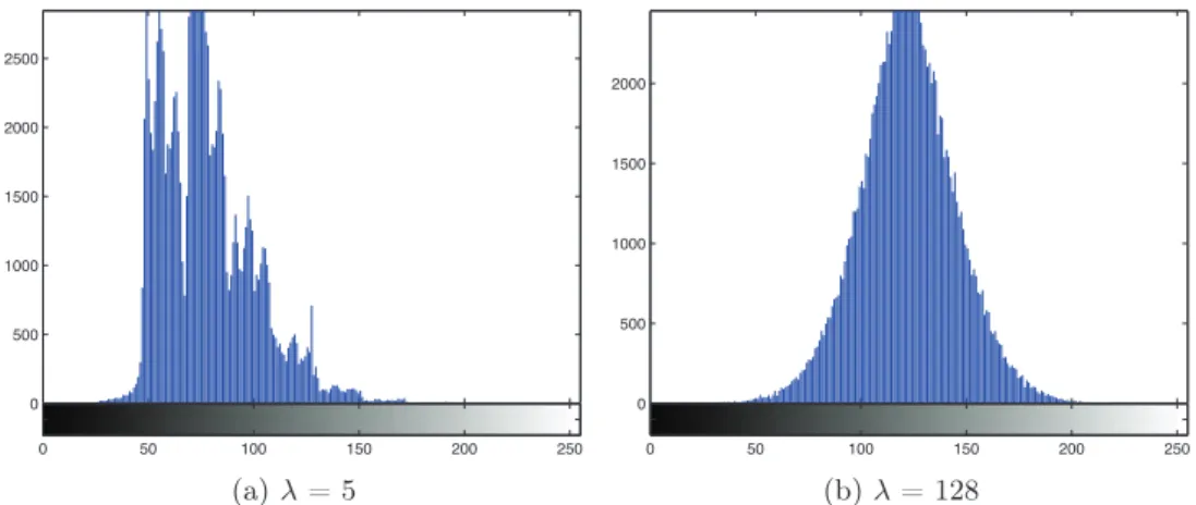 Figure 1.1: Histogram of a Poisson noise for diﬀerent parameter values.