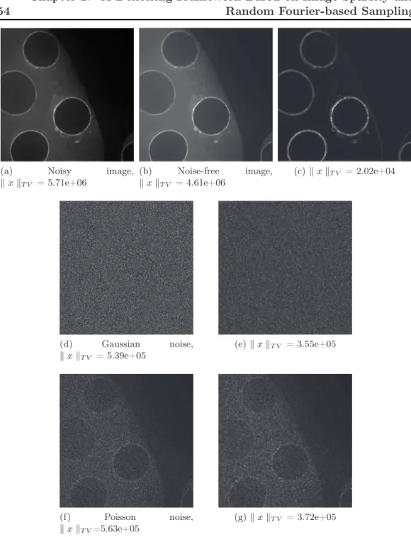 Figure 2.1: (a) Microscopic image with simulated noise such as ( 2.6 ). The sparsifying transformation ∇x applied to (b) noise-free image (compressible signal of interest), (d) simulated Gaussian noise component and (f) simulated Poisson noise component ar