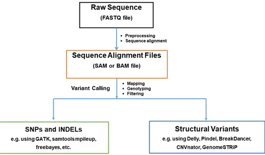 Figure 1.2. A generic pipeline for whole-genome sequence variants calling.  
