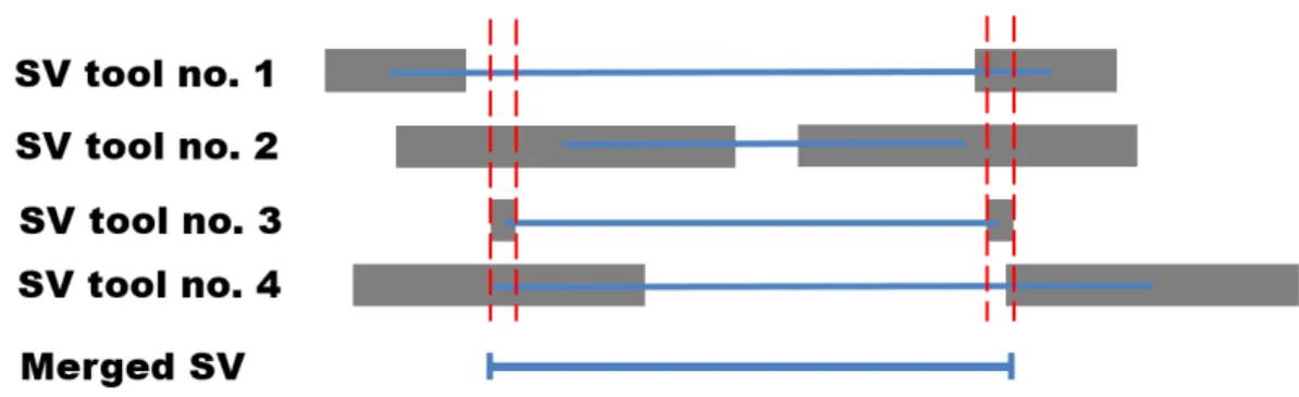 Figure 1.3. Illustration of merging SV calls generated using multiple tools. Shaded-box represents confidence 
