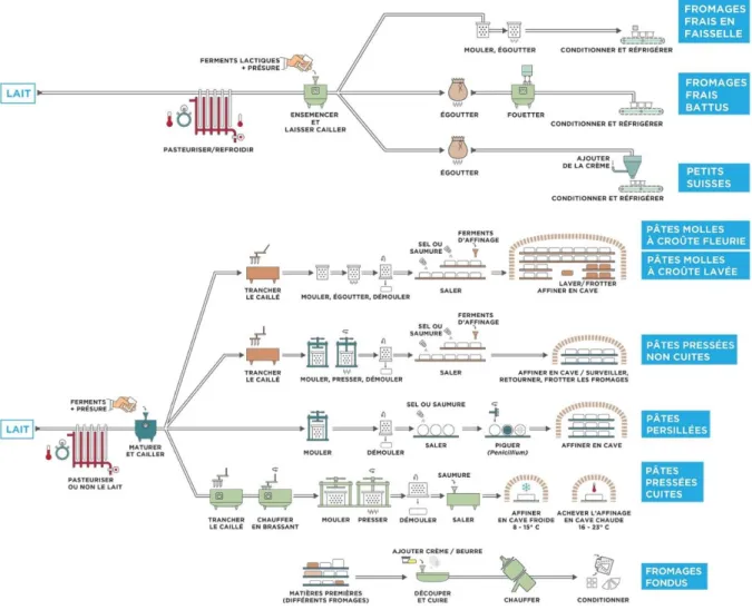 Figure 1.4. Processus de transformation des fromages frais, à pâte molle, à pâte pressée, à 