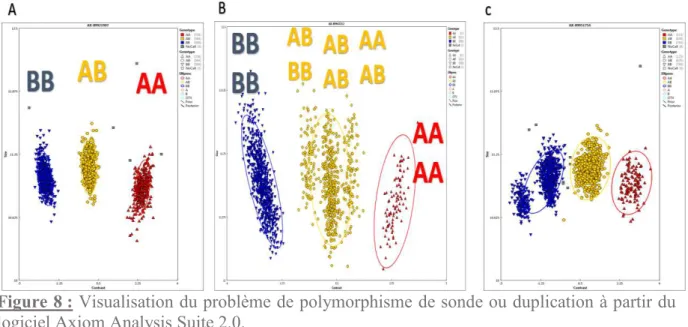 Figure 8 : Visualisation du problème de polymorphisme de sonde ou duplication à partir du 