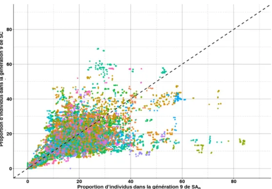 Figure  13 :  Proportion d’individus où les SNPs sont conjointement dans des ROHs de SA B