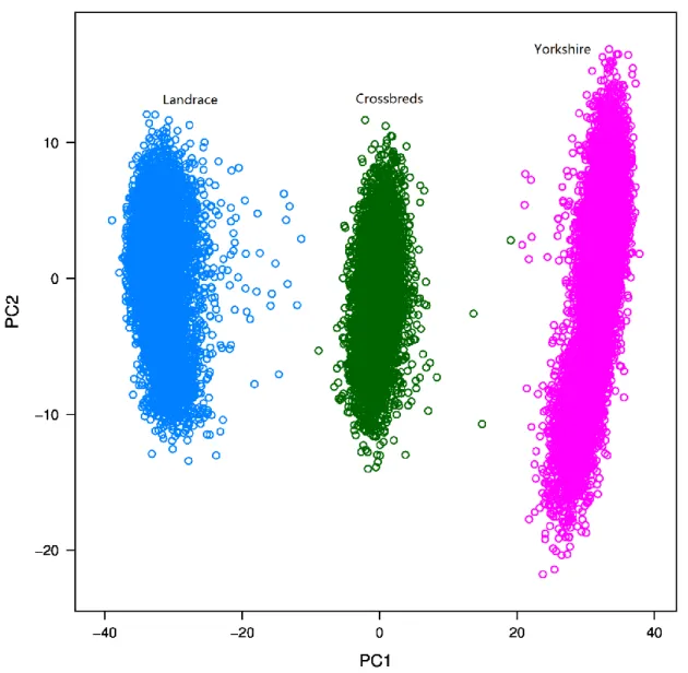 Figure 3 Principal components analysis on the matrix of genomic relationships within breeds