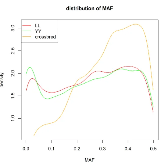 Figure 7 Density curves of minor allele frequency of the 2647 masked SNPs in the 8 K SNP chips