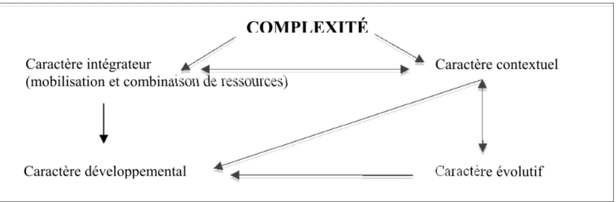 Figure 1: Les caractéristiques de la compétence 