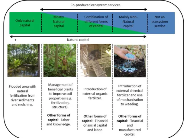 Figure 1. Conceptual gradient of natural capital content in the co-production of ES (figure top) 