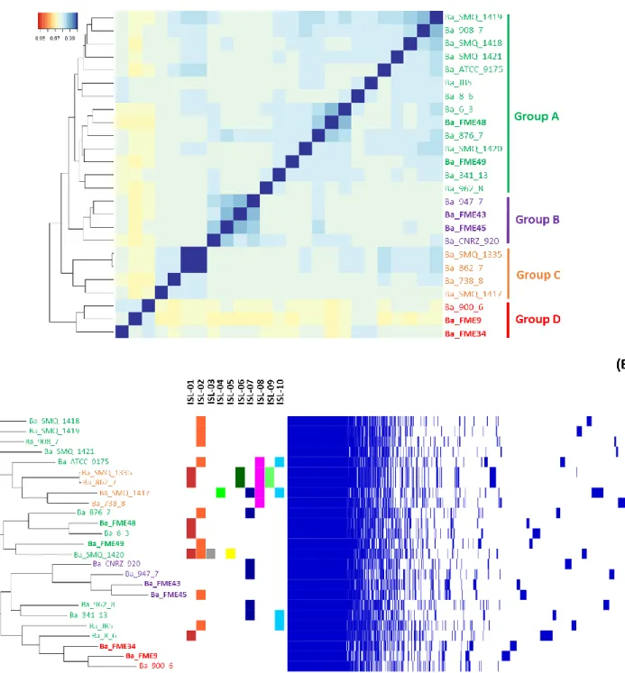 Figure 2. ANI and pan-genome analyses of 25 B. aurantiacum cheese strains. Strains from this study are 