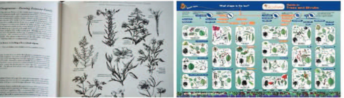 Figure 1.2: Illustrations from some filed guides.
