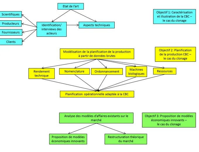 Figure 1  : Plan de l’étude du cas du clonage équin. 